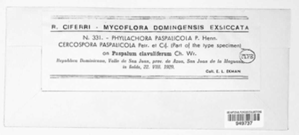 Phyllachora paspalicola image